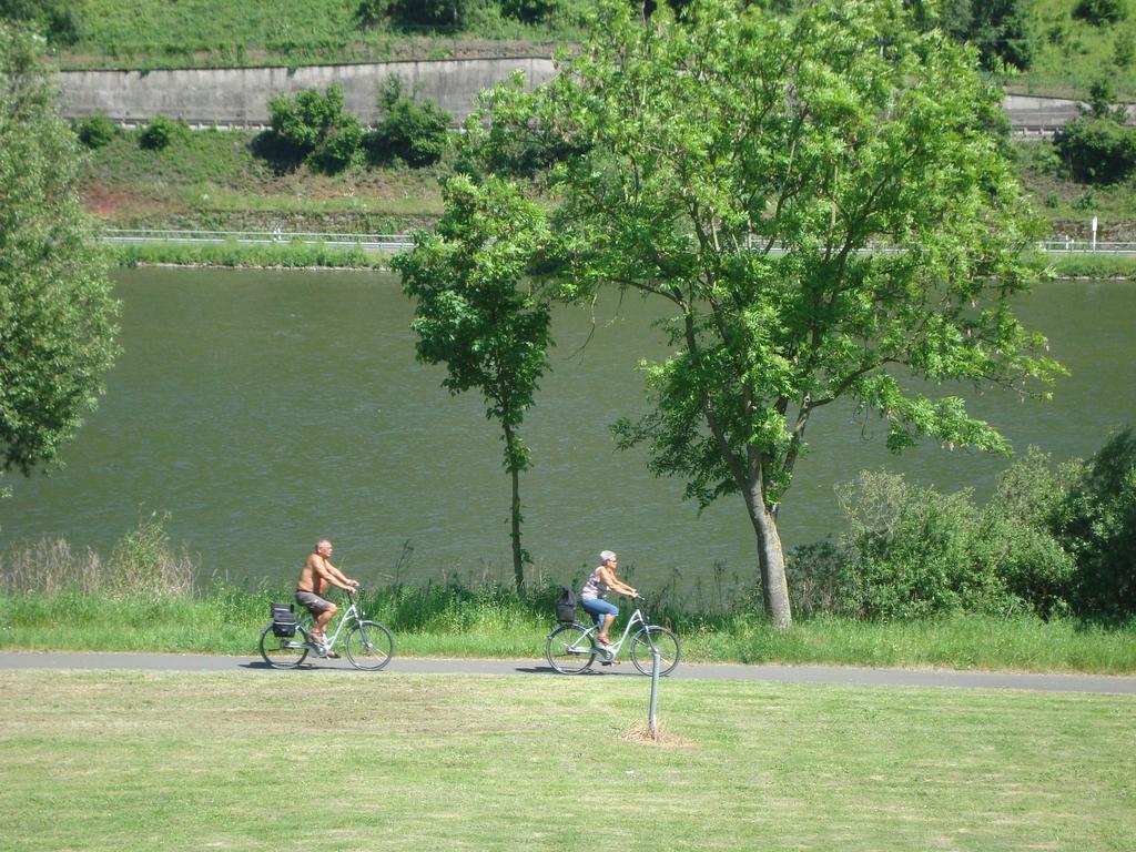 Residenz Moselstausee Sankt Aldegund Extérieur photo